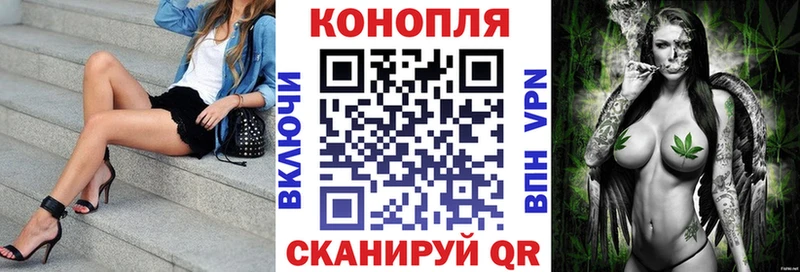 Конопля план  купить наркотик  Холм 